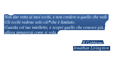 «Non dar retta ai tuoi occhi, e non credere a quello che vedi. Gli occhi vedono solo ciò che è limitato. Guarda col tuo intelletto, e scopri quello che conosci gi, allora imparerai come si vola.» Il Gabbiano Jonathan Livingston (Richard Bach)